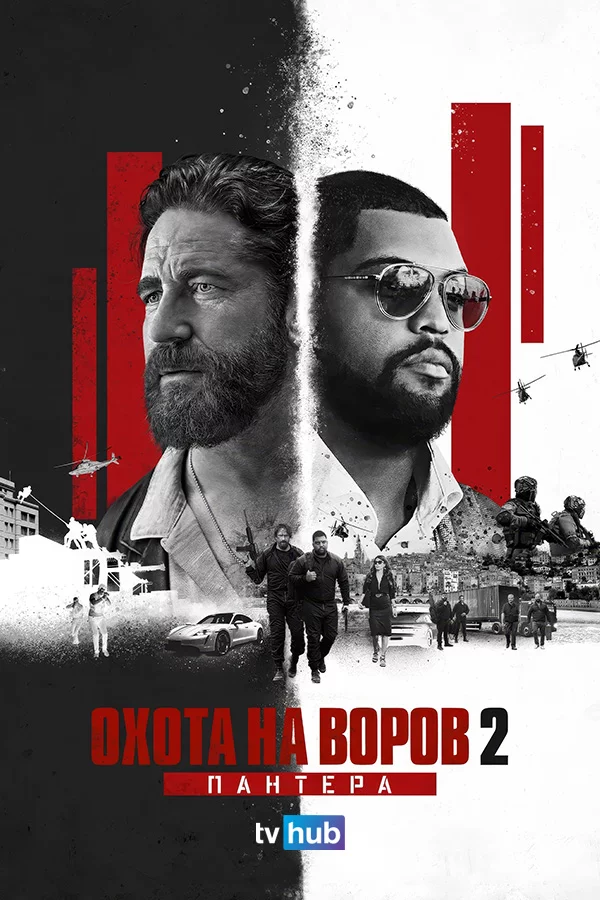 Охота на воров 2: Пантера